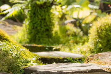 the leaf in nature abstract background, nature background and plant leaf