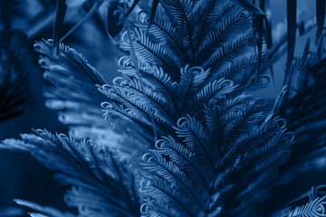  Fern leaf in a classically blue color.