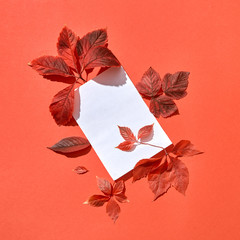 Greeting autumn card with red leaves and blank paper sheet.