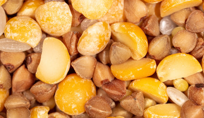 Peas, buckwheat and rice as a background