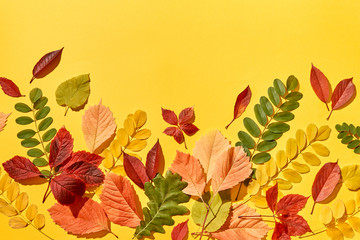 Autumn background handmade from colorful leaves.