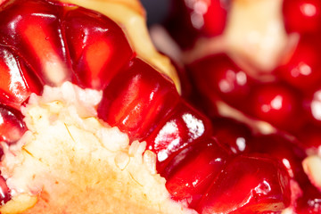 Red berries of ripe pomegranate