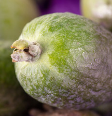 Detail of feijoa as a background