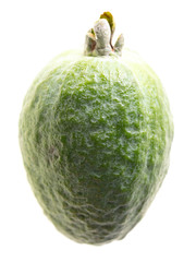 Feijoa isolated on a white background