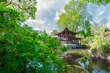 Chinese garden in Frankfurt