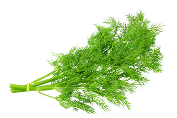bunch fresh green dill isolated on white background