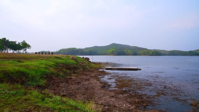 4K video of natural view in Mae Puem national park, Thailand.