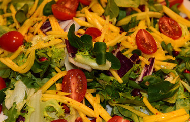 Gemüsesalat aus tomaten rucola und paprika