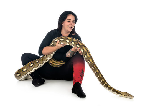Reticulated python in studio