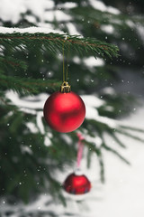Fototapeta na wymiar Red christmas ball on christmas tree and snow. Winter season, christmas and New Year holidays background. Close up