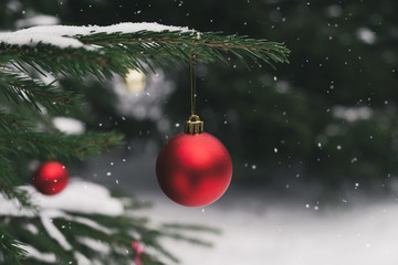 Red christmas ball on christmas tree and snow. Winter season, christmas and New Year holidays...