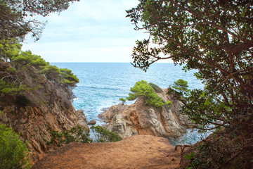 Seascape. A protruding rock in the sea with a green tree. Panorama of rocks on the coast of Lloret de Mar on a beautiful summer day, Costa Brava, Catalonia, Spain