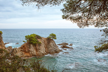 Seascape. A protruding rock in the sea with a green tree. Panorama of rocks on the coast of Lloret...