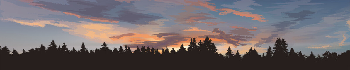 Evening sky, sunset, forest