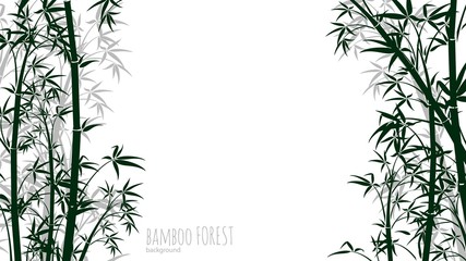 Bamboo forest background. Asian plants silhouettes backdrop. Chinese, japanese tropical rainforest vector banner. Illustration japan branch, chinese tree bamboo