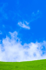 Fototapeta premium 草原と青空