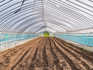 ビニールハウス