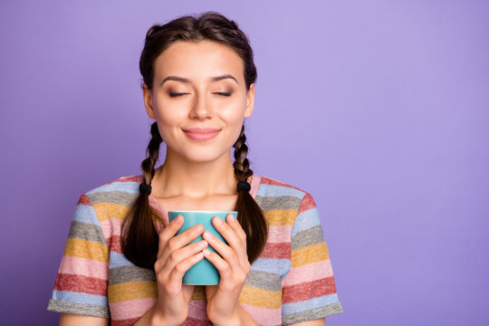 Closeup photo of cute lady holding hands cup hot beverage dreamer imagination flight eyes closed wear casual striped t-shirt isolated purple color background