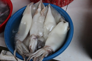 Calamars vietnam