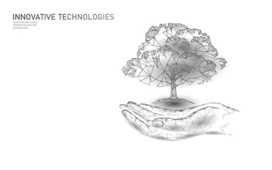 Hands holding plant tree ecological abstract concept. 3D render planting soil seedling leaves. Save planet nature environment grow life. Eco polygon triangles low poly vector illustration