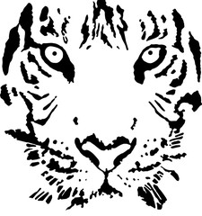 tiger head vector graphics