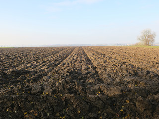 tracks in a plowed acre with a foggy horizon in the south of the Netherlands