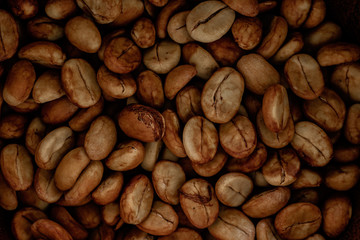 Selecting coffee beans thoroughly, picture on a black background