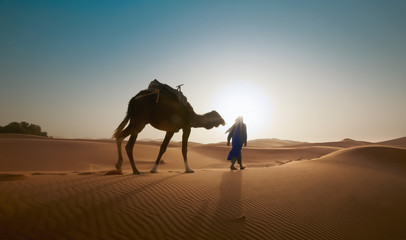 Blur photo - abstract image for the background. A man with a camel travels through the desert in backlight. - 308404237