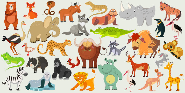 Set of funny animals, birds and reptiles from all over the world. World fauna. Vector illustration