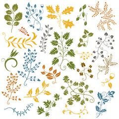 Hand drawn set of leaves and flowers. Decorative elements. Vector illustration