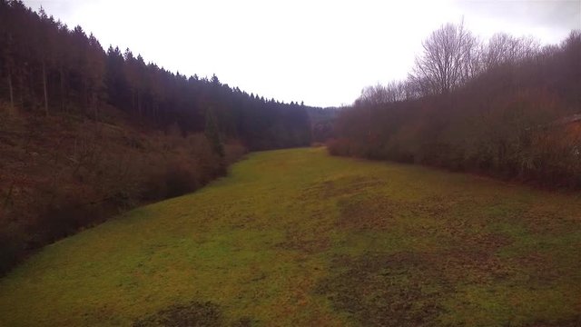 Drone run over a grassland area with climbing over the treetop on a fogy day