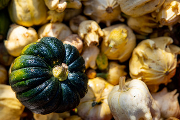 Pumpkins and gourds