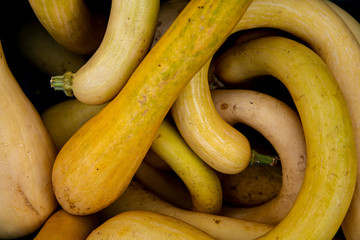 Yellow pumpkins or gourds