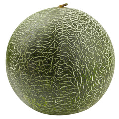 melon isolated on white background, clipping path, full depth of field