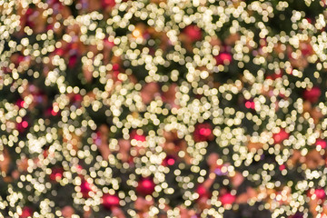 Colorful christmas tree bokeh background.