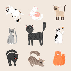 Fluffy funny cats. Cartoon cats drawing, gray purebred and ginger mongrel, playful standing and happy sitting kitten pets characters vector illustration
