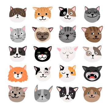 Funny cats face emtions. Cute funny cat characters faces, animals emtion set, happy and angry, sad and haughty mood heads