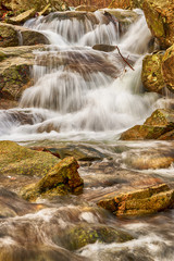 River in a beech forest in winter