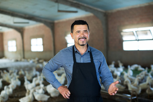 Man standing among white gooses