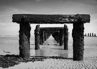 Steg Strand Hafen Lost Place Holz verwittert Algen Wind Wetter Vintage schwarz weiß Nordsee...