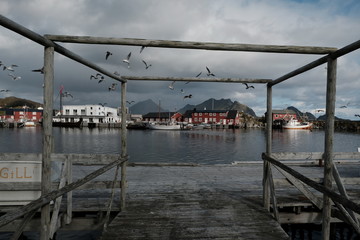 Fototapete bei efototapeten.de bestellen   