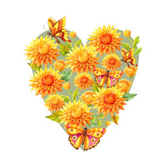Heart of watercolor hand painted chrysanthemum. Can be used as background for web pages, wedding invitations, greeting cards, textile design, wallpapers, patterns, package design