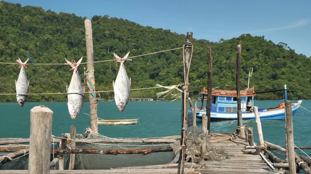 fish are drying in the sun in the fishing village of Koh Kood Island, Thailand.
