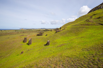 Moais on the outer slopes of Rano Raraku volcano. Rano Raraku is the quarry site where the moais were carved. Easter Island, Chile