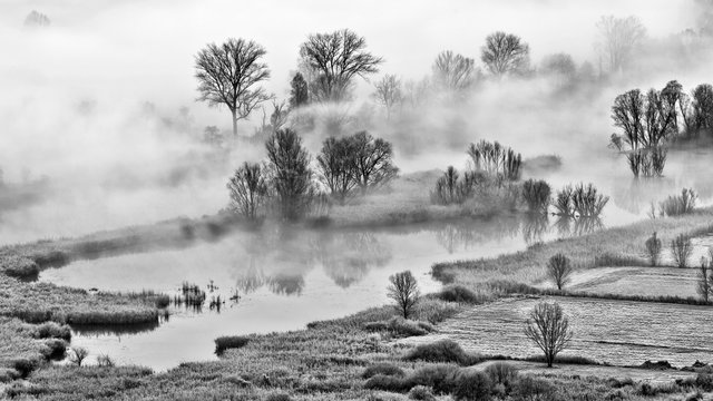 Foggy sunrise over the swamp (black and white photography)