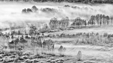 Fototapeta premium Majestic black and white landscape (A foggy morning)