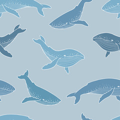 Fototapeta premium Blue whale graphic color seamless pattern background illustration vector
