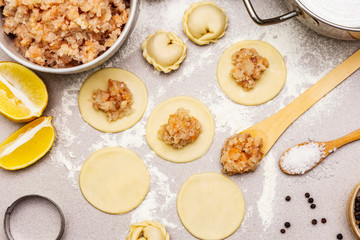 Fish dumplings. Ingredients for home cooking. Fresh dough, fish, spices, cooking equipment. Stone concrete background