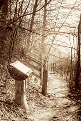Notice board in a park on sunny autumn day
