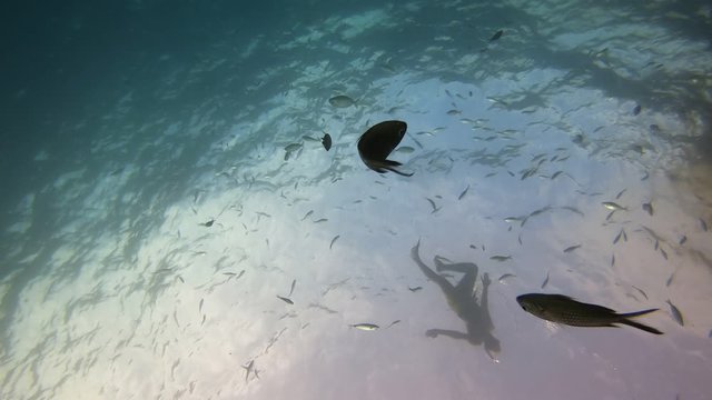 snorkeling en la playa de mallorca entre peces concepto de verano y vacaciones